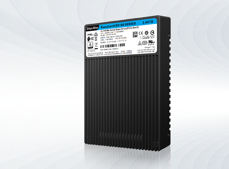 DapuStor®嵘神Roealsen® R610X系列SSD DapuStor®嵘神Roealsen® R610X系列SSD
