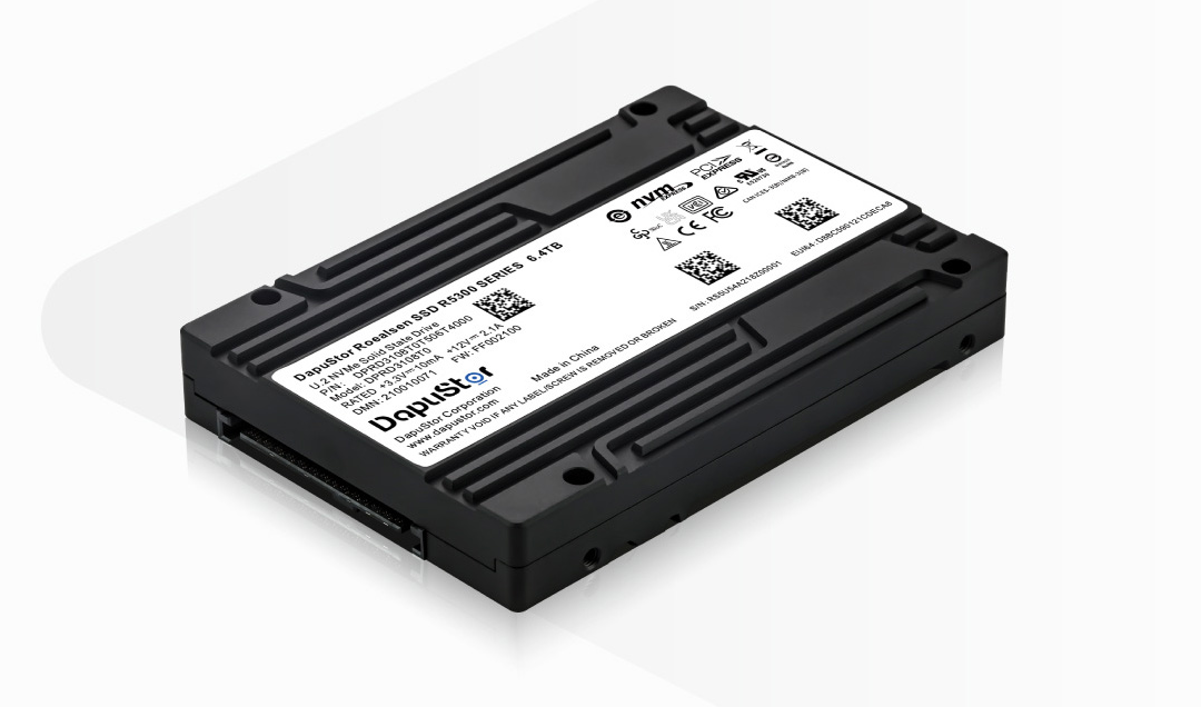 DapuStor® 嵘神Roealsen®R530X系列SSD DapuStor® 嵘神Roealsen®R530X系列SSD