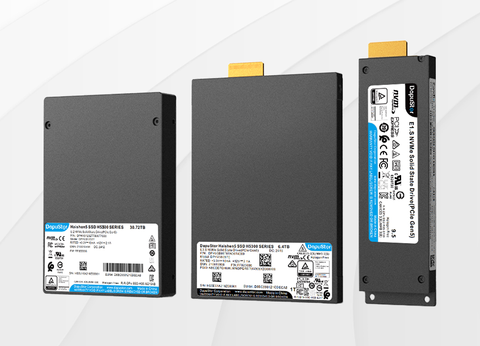 DapuStor®海神Haishen5 H5300系列SSD [图]