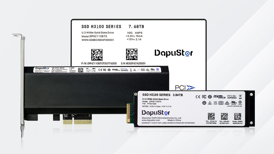 DapuStor®海神Haishen3 H3100系列SSD 